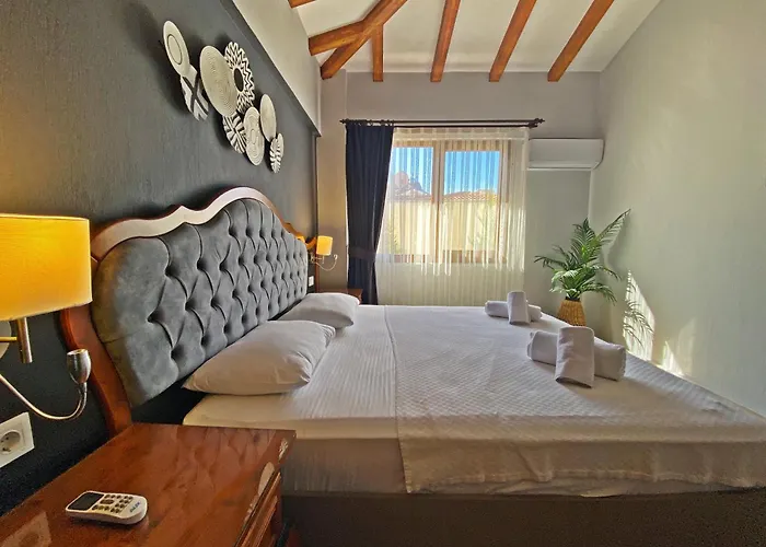 빌라 Tlos Dream 3+1 Villa, Oezel Havuzlu, 페티예